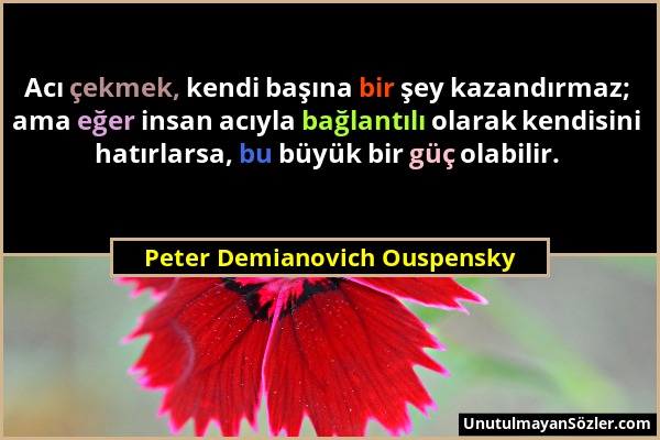 Peter Demianovich Ouspensky - Acı çekmek, kendi başına bir şey kazandırmaz; ama eğer insan acıyla bağlantılı olarak kendisini hatırlarsa, bu büyük bir...