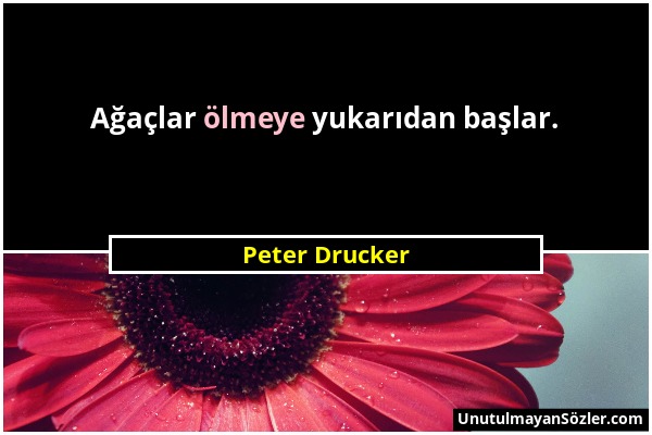 Peter Drucker - Ağaçlar ölmeye yukarıdan başlar....
