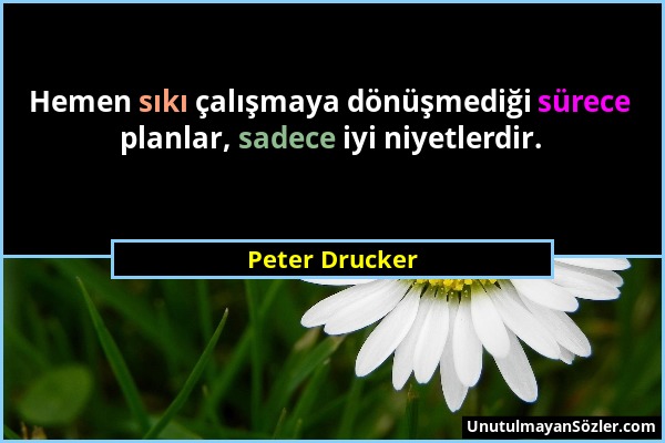 Peter Drucker - Hemen sıkı çalışmaya dönüşmediği sürece planlar, sadece iyi niyetlerdir....