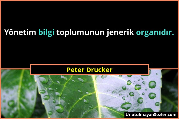 Peter Drucker - Yönetim bilgi toplumunun jenerik organıdır....