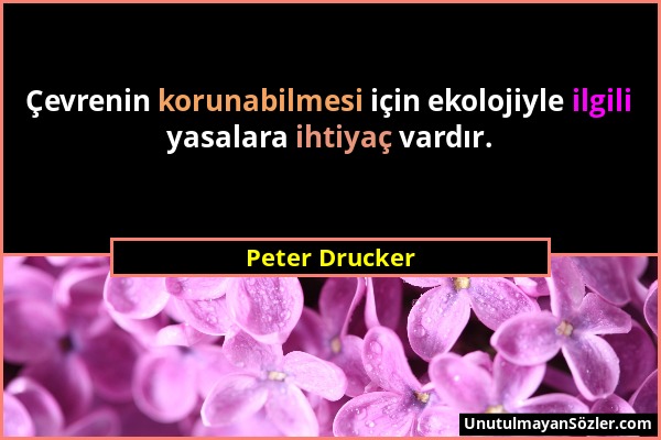 Peter Drucker - Çevrenin korunabilmesi için ekolojiyle ilgili yasalara ihtiyaç vardır....