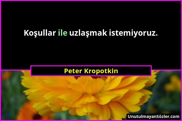 Peter Kropotkin - Koşullar ile uzlaşmak istemiyoruz....