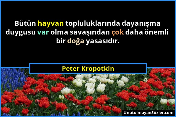 Peter Kropotkin - Bütün hayvan topluluklarında dayanışma duygusu var olma savaşından çok daha önemli bir doğa yasasıdır....