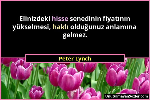 Peter Lynch - Elinizdeki hisse senedinin fiyatının yükselmesi, haklı olduğunuz anlamına gelmez....