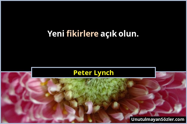 Peter Lynch - Yeni fikirlere açık olun....