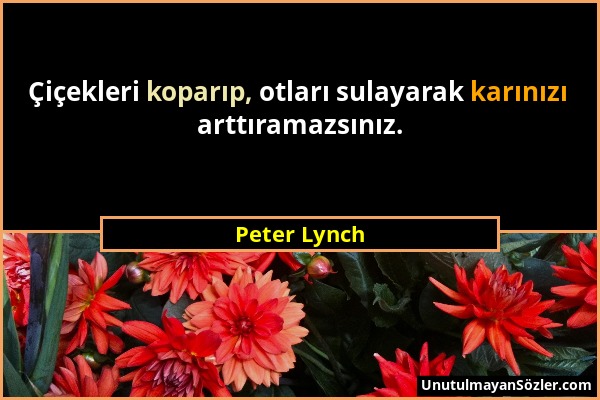 Peter Lynch - Çiçekleri koparıp, otları sulayarak karınızı arttıramazsınız....