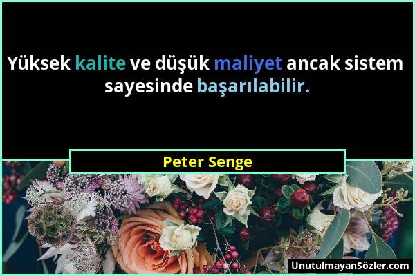 Peter Senge - Yüksek kalite ve düşük maliyet ancak sistem sayesinde başarılabilir....