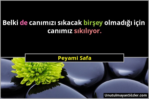 Peyami Safa - Belki de canımızı sıkacak birşey olmadığı için canımız sıkılıyor....