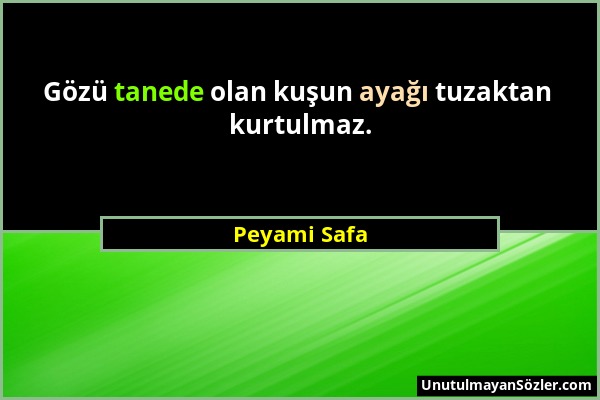 Peyami Safa - Gözü tanede olan kuşun ayağı tuzaktan kurtulmaz....