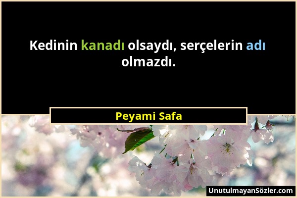 Peyami Safa - Kedinin kanadı olsaydı, serçelerin adı olmazdı....