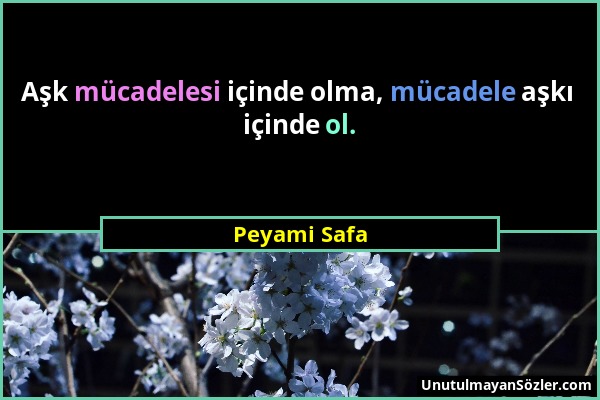 Peyami Safa - Aşk mücadelesi içinde olma, mücadele aşkı içinde ol....