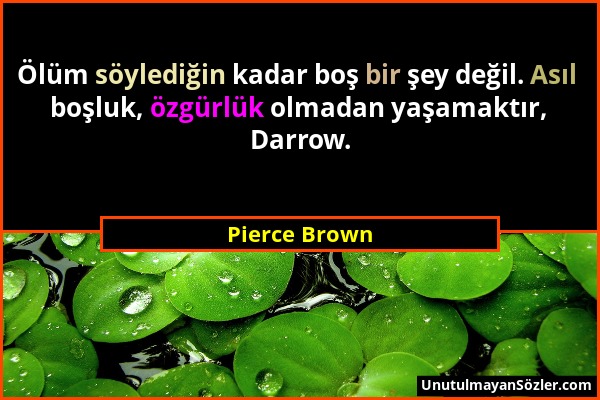 Pierce Brown - Ölüm söylediğin kadar boş bir şey değil. Asıl boşluk, özgürlük olmadan yaşamaktır, Darrow....