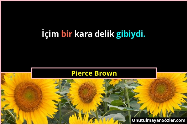 Pierce Brown - İçim bir kara delik gibiydi....