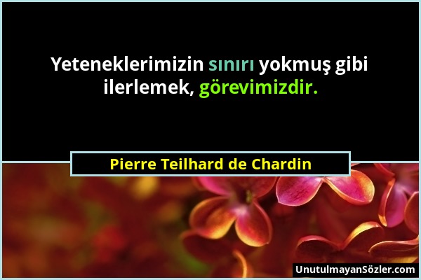 Pierre Teilhard de Chardin - Yeteneklerimizin sınırı yokmuş gibi ilerlemek, görevimizdir....