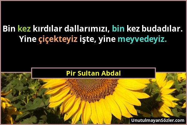 Pir Sultan Abdal - Bin kez kırdılar dallarımızı, bin kez budadılar. Yine çiçekteyiz işte, yine meyvedeyiz....