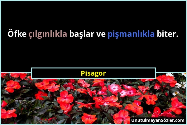 Pisagor - Öfke çılgınlıkla başlar ve pişmanlıkla biter....