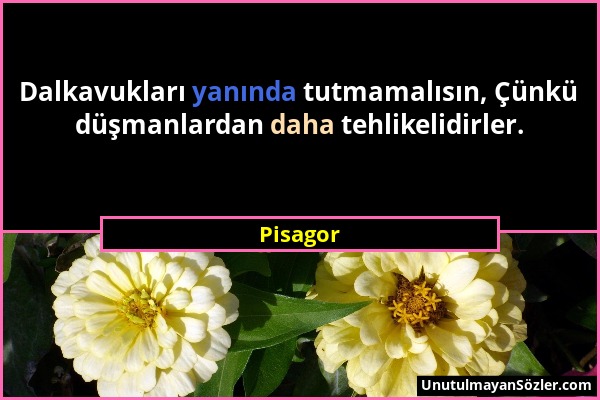 Pisagor - Dalkavukları yanında tutmamalısın, Çünkü düşmanlardan daha tehlikelidirler....