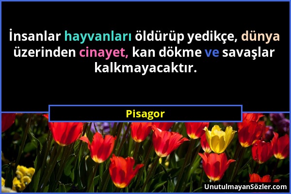 Pisagor - İnsanlar hayvanları öldürüp yedikçe, dünya üzerinden cinayet, kan dökme ve savaşlar kalkmayacaktır....