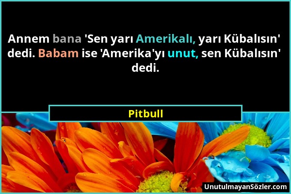 Pitbull - Annem bana 'Sen yarı Amerikalı, yarı Kübalısın' dedi. Babam ise 'Amerika'yı unut, sen Kübalısın' dedi....