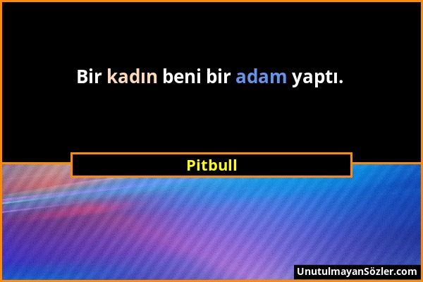 Pitbull - Bir kadın beni bir adam yaptı....