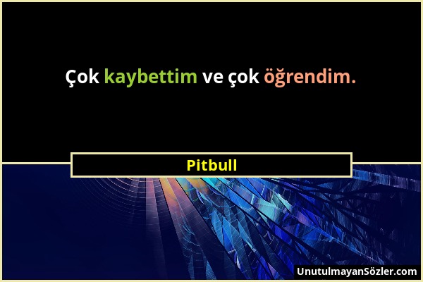 Pitbull - Çok kaybettim ve çok öğrendim....