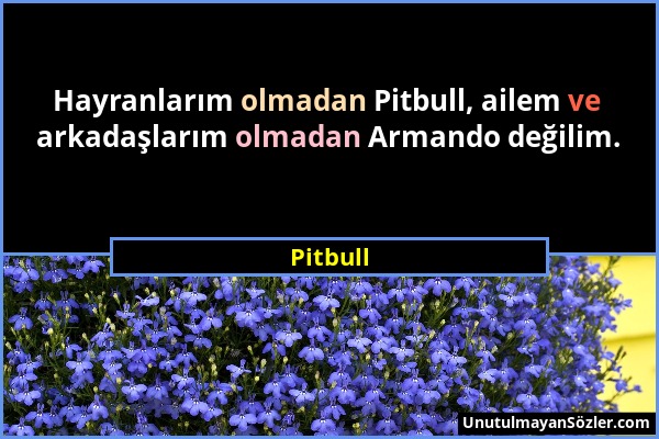 Pitbull - Hayranlarım olmadan Pitbull, ailem ve arkadaşlarım olmadan Armando değilim....