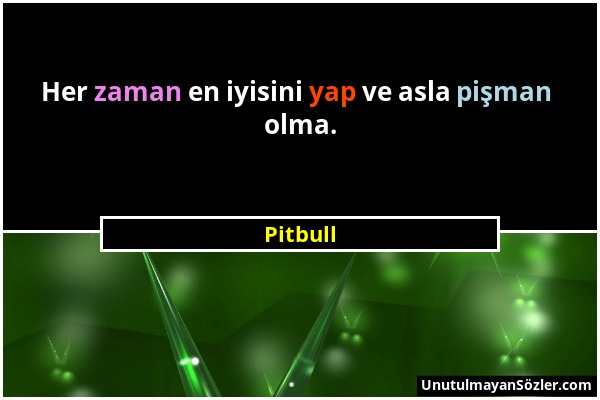 Pitbull - Her zaman en iyisini yap ve asla pişman olma....