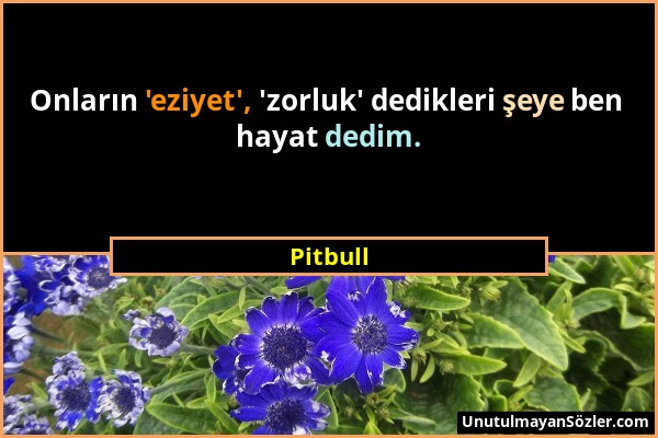 Pitbull - Onların 'eziyet', 'zorluk' dedikleri şeye ben hayat dedim....