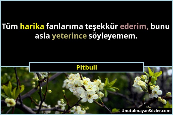 Pitbull - Tüm harika fanlarıma teşekkür ederim, bunu asla yeterince söyleyemem....