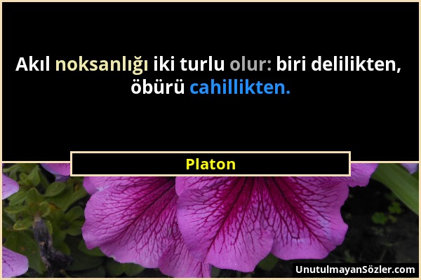 Platon - Akıl noksanlığı iki turlu olur: biri delilikten, öbürü cahillikten....