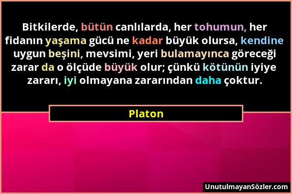 Platon - Bitkilerde, bütün canlılarda, her tohumun, her fidanın yaşama gücü ne kadar büyük olursa, kendine uygun beşini, mevsimi, yeri bulamayınca gör...