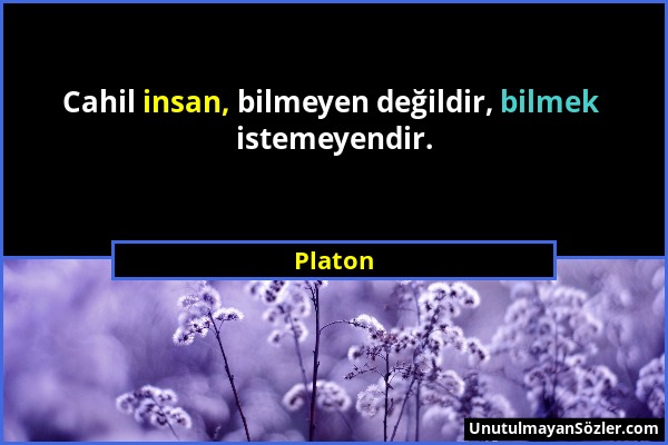 Platon - Cahil insan, bilmeyen değildir, bilmek istemeyendir....