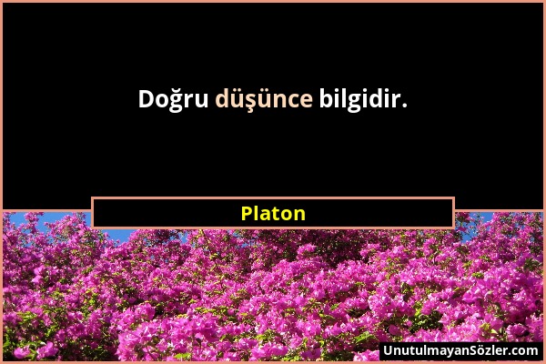 Platon - Doğru düşünce bilgidir....