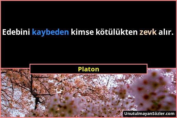 Platon - Edebini kaybeden kimse kötülükten zevk alır....