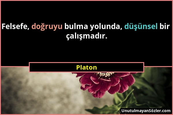 Platon - Felsefe, doğruyu bulma yolunda, düşünsel bir çalışmadır....