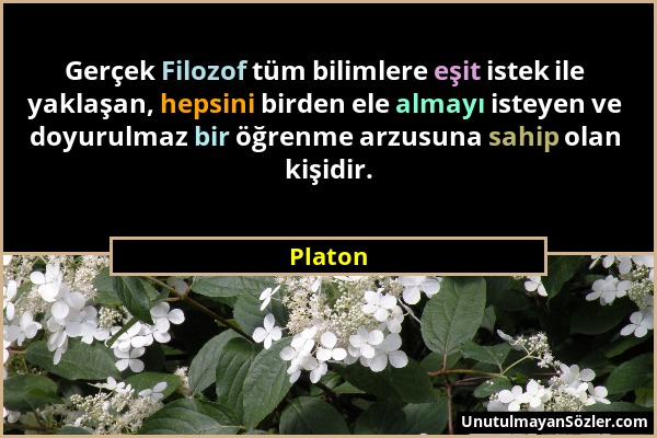 Platon - Gerçek Filozof tüm bilimlere eşit istek ile yaklaşan, hepsini birden ele almayı isteyen ve doyurulmaz bir öğrenme arzusuna sahip olan kişidir...