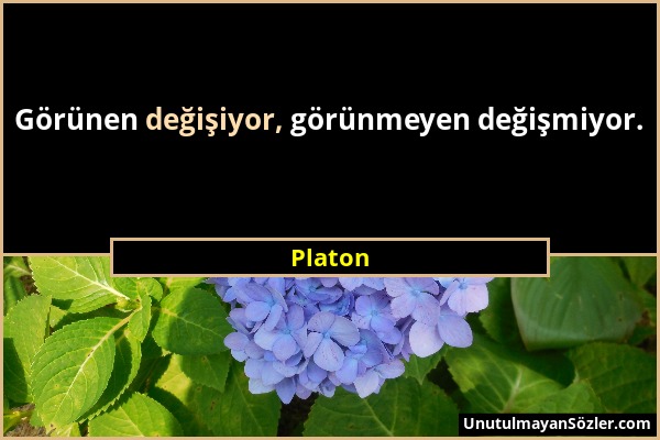 Platon - Görünen değişiyor, görünmeyen değişmiyor....