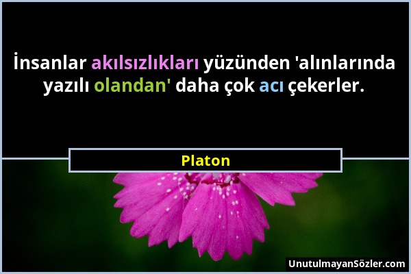 Platon - İnsanlar akılsızlıkları yüzünden 'alınlarında yazılı olandan' daha çok acı çekerler....