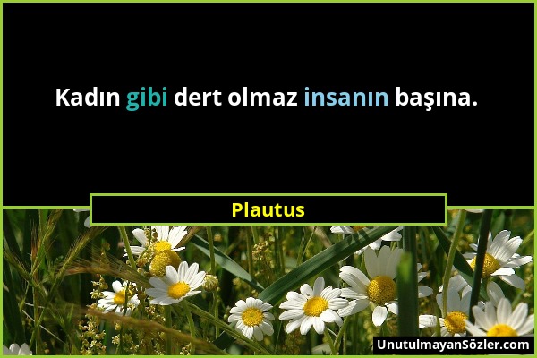 Plautus - Kadın gibi dert olmaz insanın başına....