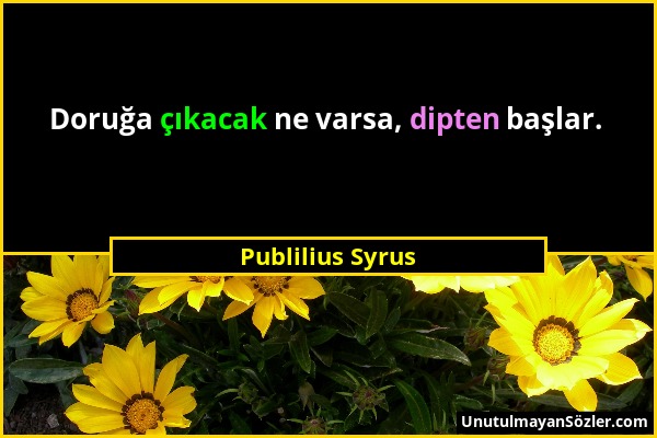 Publilius Syrus - Doruğa çıkacak ne varsa, dipten başlar....