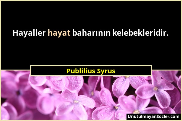 Publilius Syrus - Hayaller hayat baharının kelebekleridir....