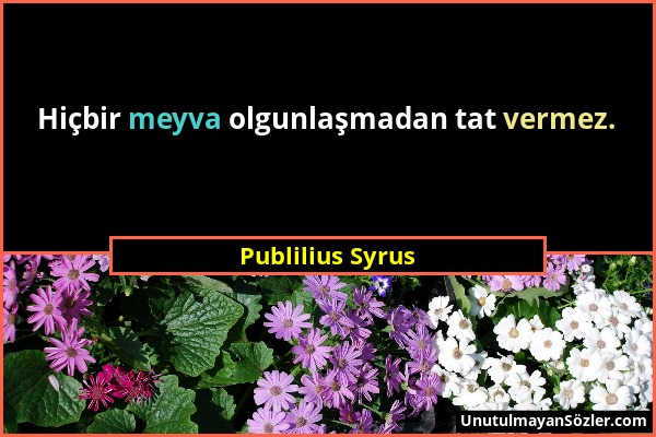 Publilius Syrus - Hiçbir meyva olgunlaşmadan tat vermez....