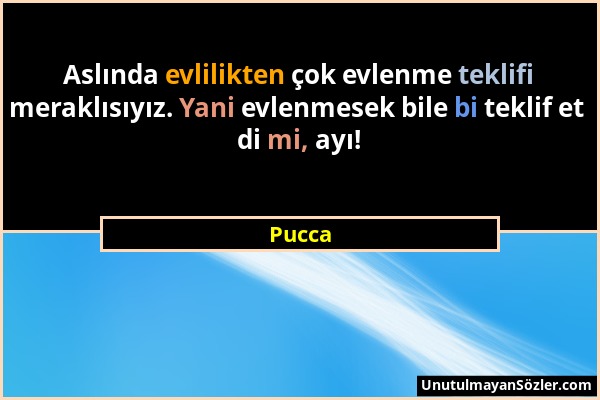 Pucca - Aslında evlilikten çok evlenme teklifi meraklısıyız. Yani evlenmesek bile bi teklif et di mi, ayı!...