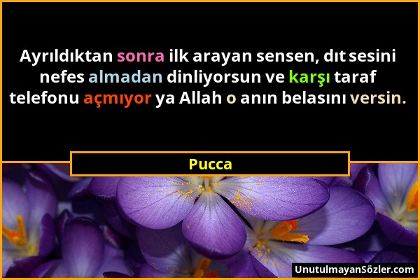 Pucca - Ayrıldıktan sonra ilk arayan sensen, dıt sesini nefes almadan dinliyorsun ve karşı taraf telefonu açmıyor ya Allah o anın belasını versin....