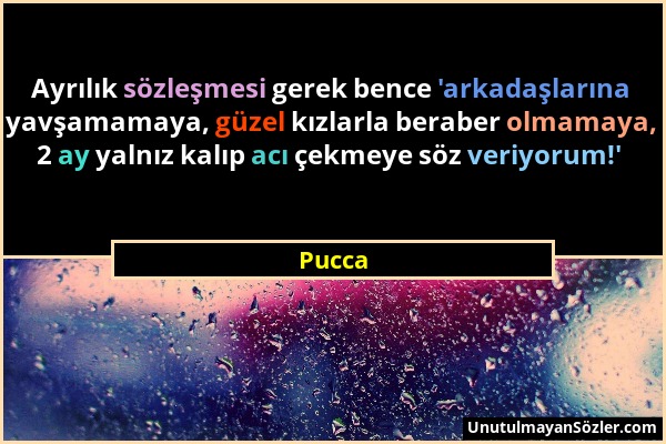 Pucca - Ayrılık sözleşmesi gerek bence 'arkadaşlarına yavşamamaya, güzel kızlarla beraber olmamaya, 2 ay yalnız kalıp acı çekmeye söz veriyorum!'...