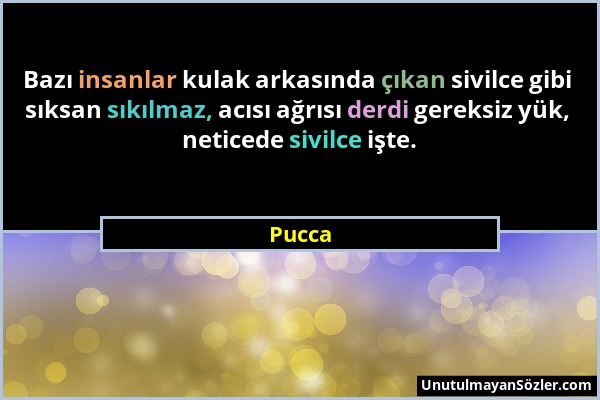 Pucca - Bazı insanlar kulak arkasında çıkan sivilce gibi sıksan sıkılmaz, acısı ağrısı derdi gereksiz yük, neticede sivilce işte....