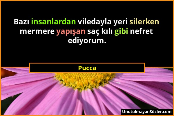 Pucca - Bazı insanlardan viledayla yeri silerken mermere yapışan saç kılı gibi nefret ediyorum....