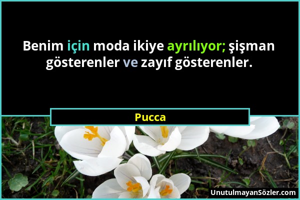 Pucca - Benim için moda ikiye ayrılıyor; şişman gösterenler ve zayıf gösterenler....