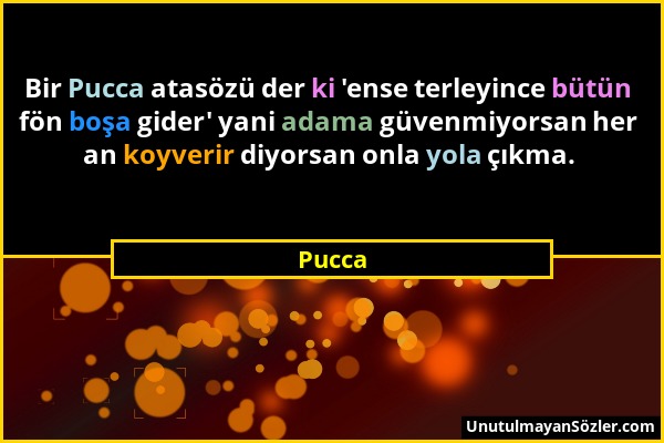 Pucca - Bir Pucca atasözü der ki 'ense terleyince bütün fön boşa gider' yani adama güvenmiyorsan her an koyverir diyorsan onla yola çıkma....