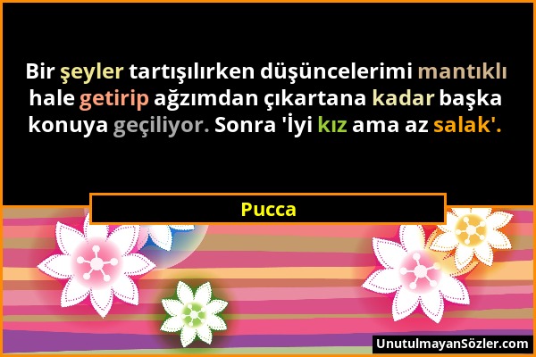 Pucca - Bir şeyler tartışılırken düşüncelerimi mantıklı hale getirip ağzımdan çıkartana kadar başka konuya geçiliyor. Sonra 'İyi kız ama az salak'....